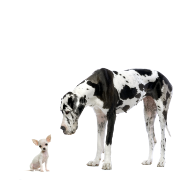 The bigger the better?  Hold on…