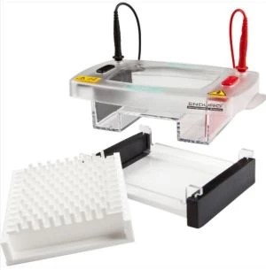 Electrophoresis