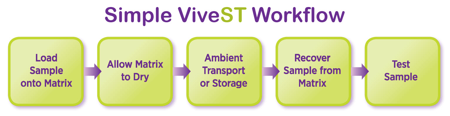 Simple-ViveST-Workflow